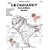 Geography Coloring Book (3rd Edition)