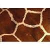 Photographic Prints of Reticulated Giraffe - close-up skin from Ardea Wildlife Pets