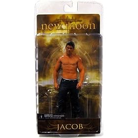 Twilight New Moon