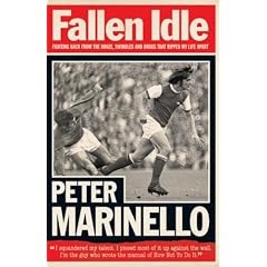 Fallen Idle
