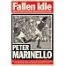 Fallen Idle