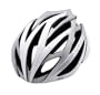 Giro Ionos Bike Helmet (white/silver, Small)
