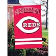 Cincinnati Reds MLB Applique Banner Flag (44"x28")