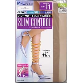 SLIM CONTROL 着圧パンスト 2足組 パワーサポート11hpa SP960L