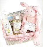 Bath Time New Baby Girl Basket