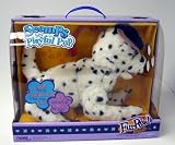 Scamps My Playful Pup-(dalmation)