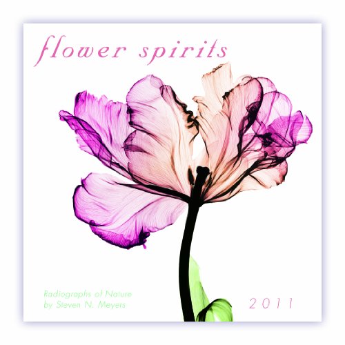 Flower Spirits 2011 Mini Wall Calendar (Calendar)