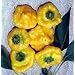 Jamaican Hot Yellow Scotch Bonnet Pepper 20 Seeds