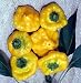 Jamaican Hot Yellow Scotch Bonnet Pepper 15 Seeds