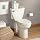 American Standard Cadet-3 Right Height Elongated Two-Piece Toilet with 12-Inch Rough-In
