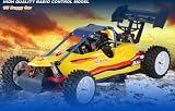 FS Racing 1/5 Scale Petrol Remote Control Offroad RC Buggy Car