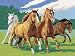 Spielwaren : Ravensburger 28872 - Malen nach Zahlen, Wildpferde, 24x30 cm