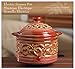 Hosley's Red Electric Potpourri Warmer, 4.5