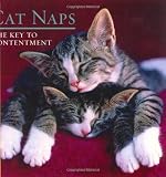 Cat Naps: The Key to Contentment