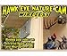 Hawk Eye Wireless Nature Cam - Video Camera for Wildlife Viewing BCAMHEW