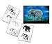 UMR-Design AS-155 elephant Airbrushstencil Step by Step Size L
