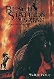 Black Stallion and Satan by Farley, Walter [Paperback(1992/4/14)]