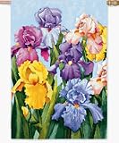 Outdoor Living : BANNER BLOOMING IRIS