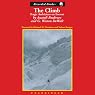 The Climb: Tragic Ambitions on Everest