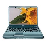 Toshiba Satellite P305D-S8818 17-inch Laptop (AMD Turion 64 X 2 Dual Core TL-62 Processor, 2 GB RAM, 250 GB Hard Drive, DVD Drive, Vista Premium)