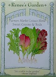 Farmers Market Cut and Come Again Lettuce Blend Seeds 2000 Seeds