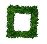 Preserved Boxwood Square Wreath 11"