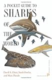 A pocket guide to sharks of the world