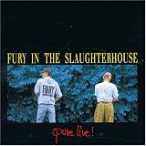 Fury in the Slaughterhouse - Pure Live!