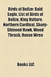 Birds of Belize: Bald Eagle, List of Birds of Belize, King Vulture, Northern Cardinal, Sharp-Shinned Hawk, Wood Thrush, House Wren-