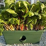 Amazon.com: Customer Reviews: Garden Patch GP01GR-06 Grow Box