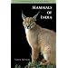 Mammals of India