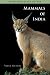 Mammals of India (Princeton Field Guides)