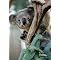 Krazy for Koalas!