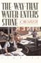 The Way That Water Enters Stone: Stories