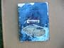 Je Suis Le Cahier: The Sketchbooks of Picasso/Deluxe Collector's Edition