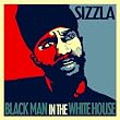 Black Man In The White House - Single