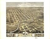 Bird's eye view of the city of Faribault, Rice County, Minnesota 1869. Drawn by Prof. A. Ruger., large historic panoramic map reprint 46x36