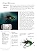 Fly Patterns by Fishing Guides: 200 Flies That Really Work