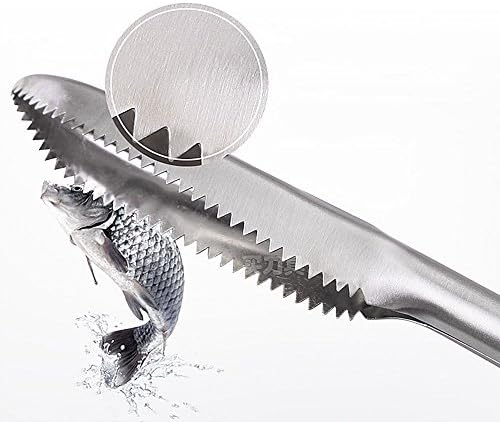 Stainless Steel Teeth Fish Scale Stripper Scraper Hand Remover Shaver Descaler