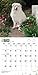 Great Pyrenees 18-Month 2015 Calendar