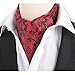 Stylefad Men's Mirofiber Cravat Ascot Self Tie