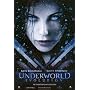 Underworld: Evolution - Movie Poster - 27 x 40