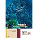 Atlantis - Discovery Geschichte