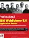Professional IBM WebSphere 5.0 Application Server (Programmer to Programmer)