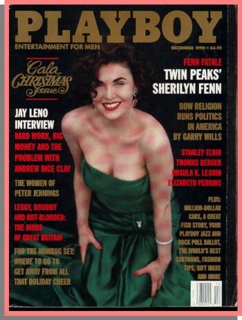  Sherilyn Fenn