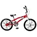 Boys' Schwinn Falcon 20
