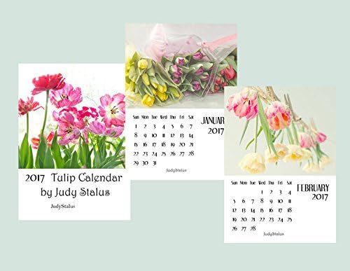 2017 Tulip Desk Calendar, Flower Calendar, Gift for Women, Gift for Gardener