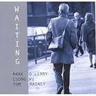 Waiting by Mark O'Leary, Cuong Vu, and Tom Rainey