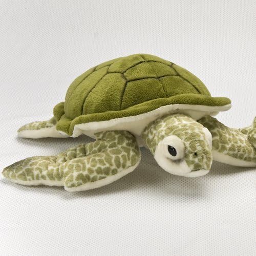 Real Stuffed Green Turtle Size M by Colorata