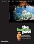 The Human Past: World Prehistory and the Development of Human Societies